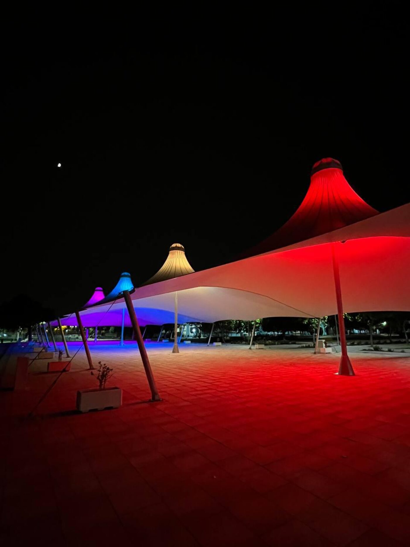 Carpa evento fiesta instalada exterior montaje GWD